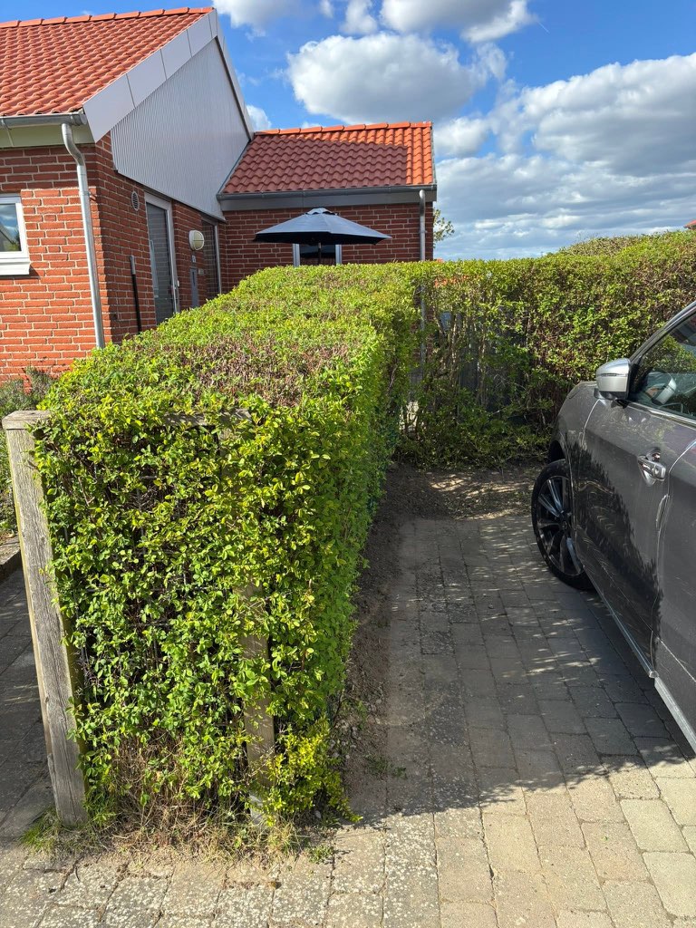 Eksempel på haveservice og pleje af have