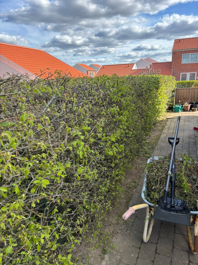 Havepleje og oprydning i en privat have